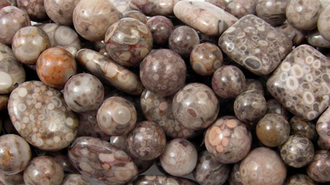 Fossil Crinoid Beads Fossil Crinoid Beads