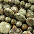 Fossil Crinoid Beads