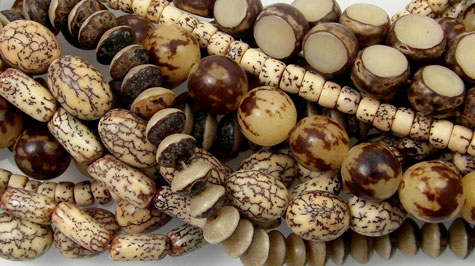 Nut and Shell Beads