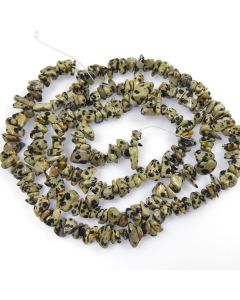 Dalmation Jasper 5x8mm approx. Chip Beads