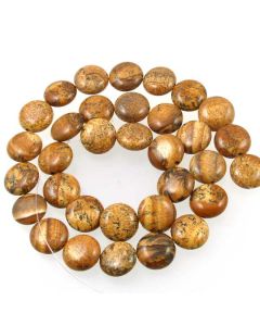 Picture Jasper 12mm Coin Beads