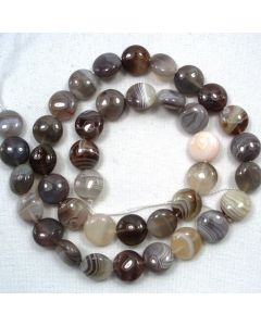 Botswana Agate 10mm Coin Beads