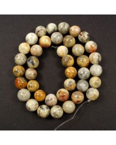 Crazy Lace Agate 10mm Round Beads