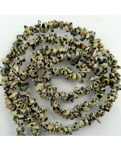 Dalmation Jasper 5x8mm approx. Chip Beads