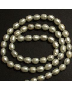 Freshwater Rice Pearls