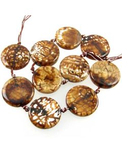 Leopard Agate 30mm (approx) Coin Beads