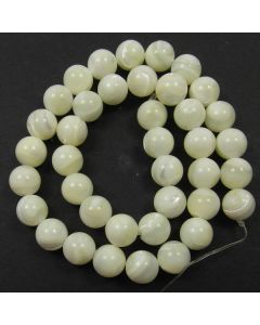 Mother of Pearl 10mm Round Beads