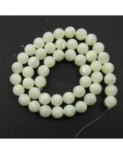 Mother of Pearl 8mm Round Beads