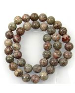 Fossil Crinoid 10mm Round Beads