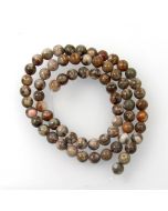 Fossil Crinoid 6mm Round Beads