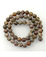 Fossil Crinoid 8mm Round Beads