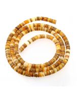 Goldlip Shell 4/5mm Heishi