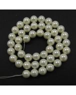 Shell Pearls