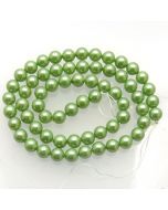 Shell Pearls