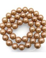 Shell Pearls