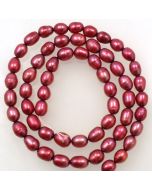 Freshwater Rice Pearls